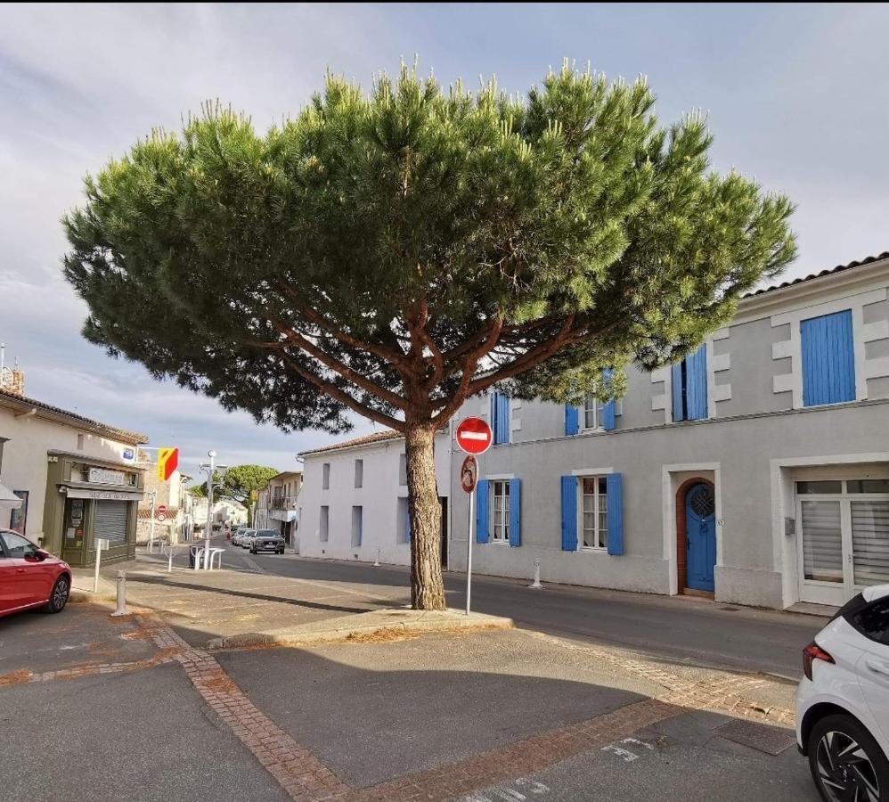 Charmant Appartement Dans Centre Meschers/Gironde Meschers-sur-Gironde Exterior foto